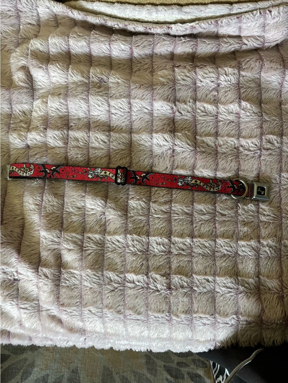 Buckle Down Red Lucky Dice Tattoo Series Adjustable Dog Collar Size Large